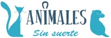 ANIMALES SIN SUERTE GATO Perro