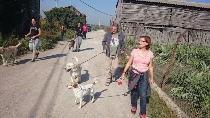 ds-kan-adiestramiento-2