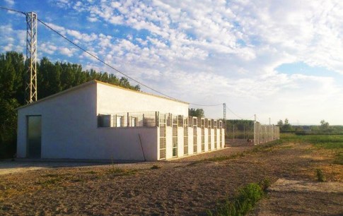 residencia-canina-ds-kan-granada_5