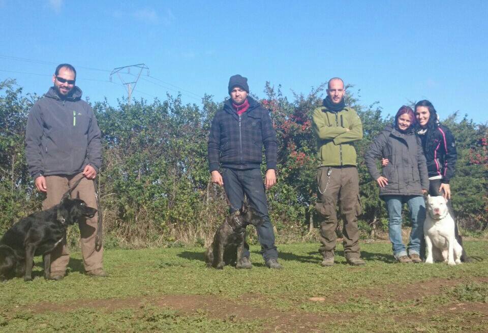 ds-kan-formacion-solcan-leon-noviembre-2014