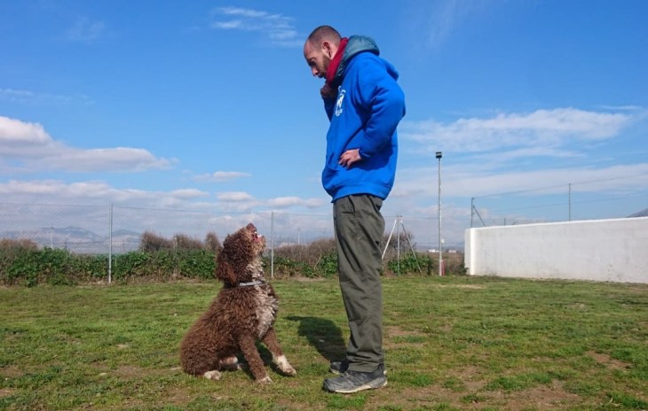 83945140_1112513799107007_3042697485530169344_n