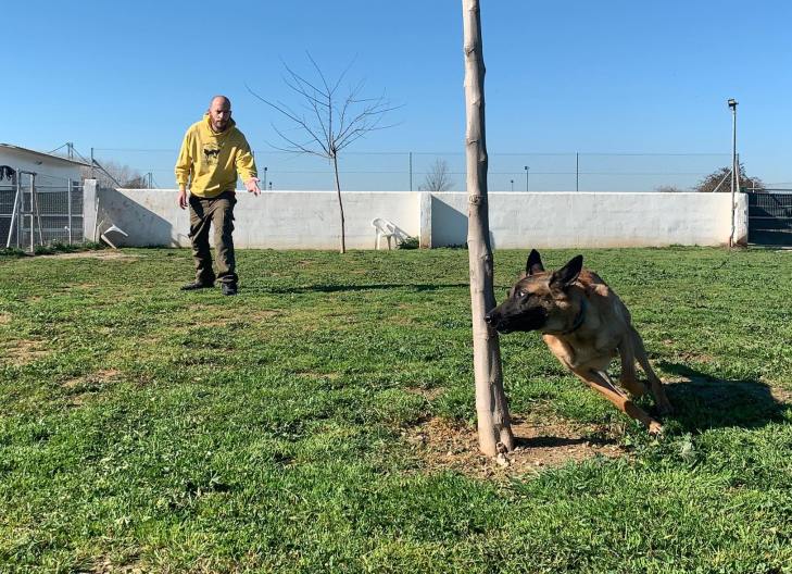 84023904_677580679656847_447938855312556032_n