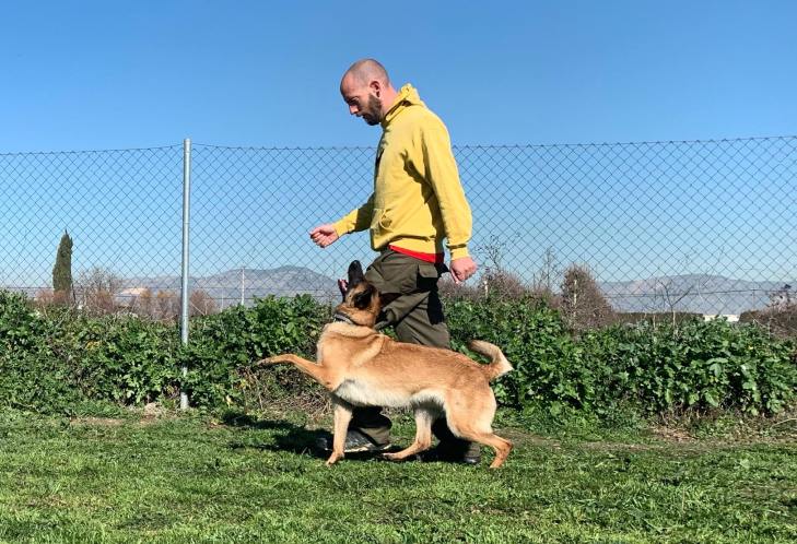 84624139_189057299164301_4030334659878453248_n