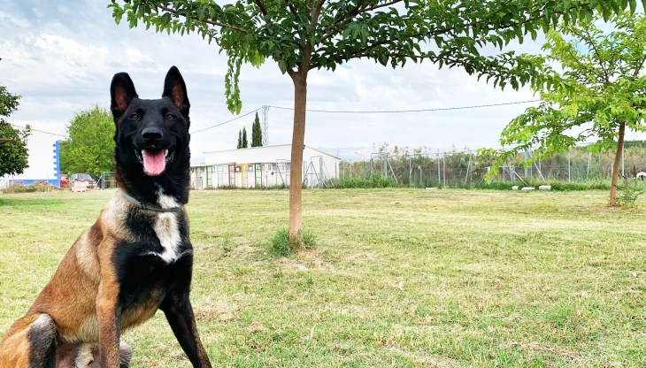 residencia ds-kan (4)