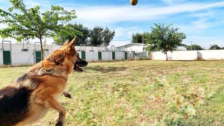 residencia ds-kan (6)