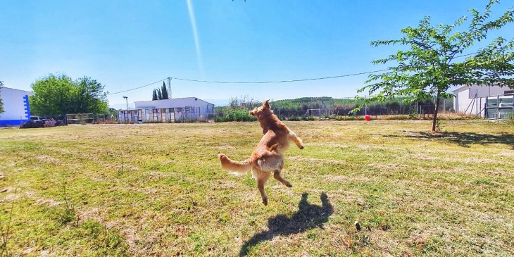 residencia ds-kan (7)