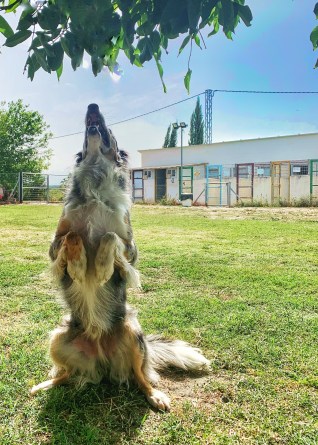 residencia ds-kan (8)