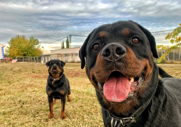 residencia ds-kan (9)